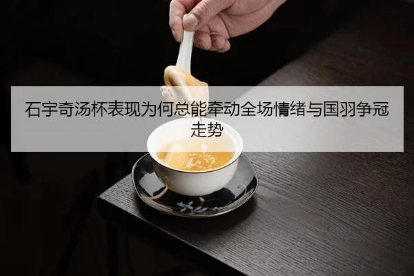 shi-yu-qi-tang-bei-biao-xian-wei-he-zong-neng-qian-dong-quan-chang-qing-xu-yu-guo-yu-zheng-guan-zou-shi-3-490.jpg